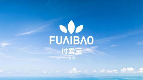 付爱宝与婕玛网络 解析与反思